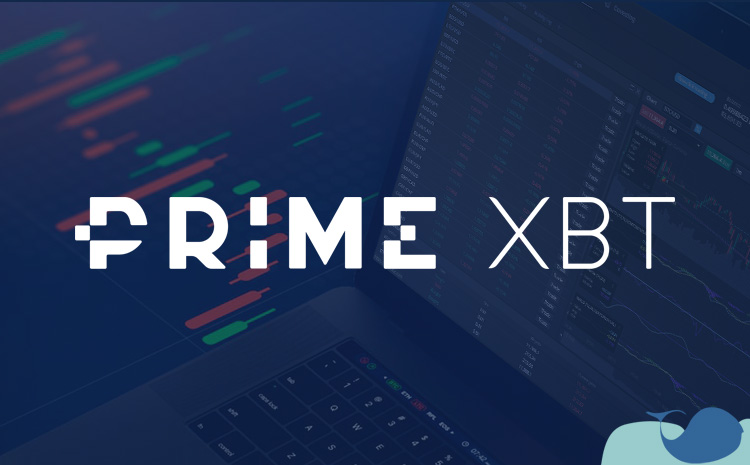 Understanding PrimeXBT Broker A Comprehensive Review